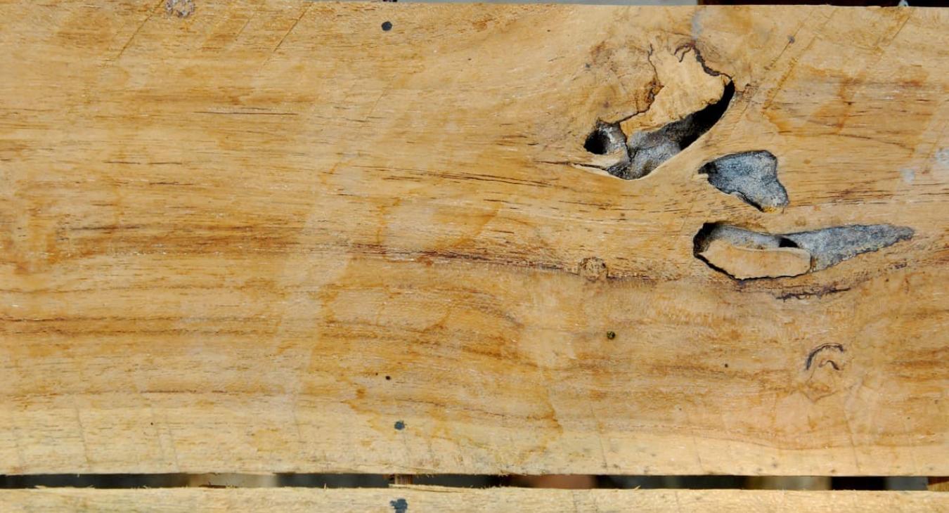 Pose & Entretien de charpentes 82 Tarn-et-Garonne