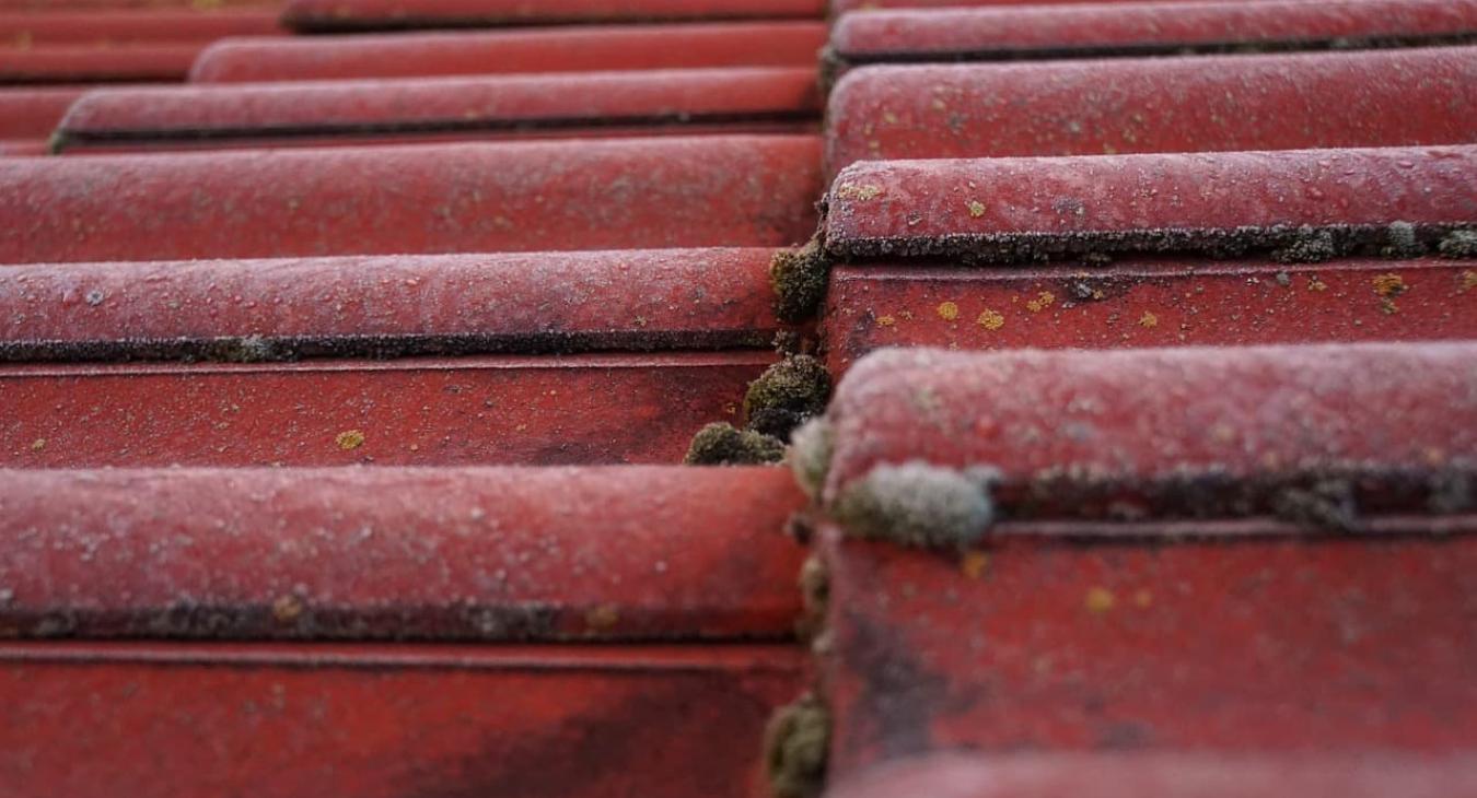 Nettoyage de toiture, Peinture & Hydrofugation de toit 82 Tarn-et-Garonne